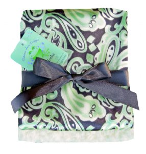 Satin Paisley Burpcloth Set of 2