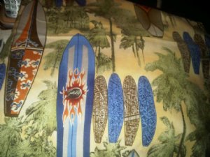 Sage Surfboard Changing Mat