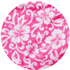 Pink Hibiscus