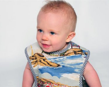 California Dreamin Reversible Bib