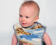 California Dreamin Reversible Bib