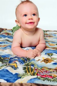 California Dreamin Stroller Blanket