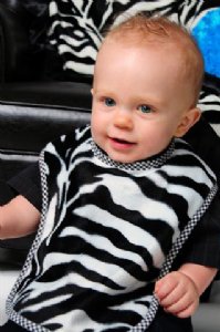 Zebra Reversible Bib