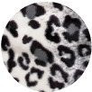 Snow Leopard