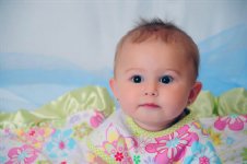 Star Flower Burst Reversible Bib