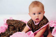 Cheetah Stroller Blanket