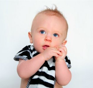 Zebra Reversible Bib