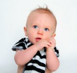 Zebra Reversible Bib